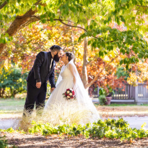 Bride and groom kissing in park under trees