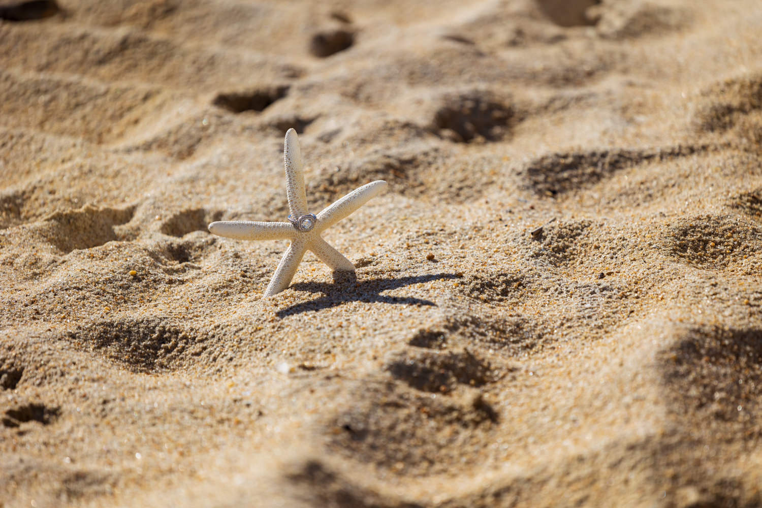 Engagement ring beach starfish 