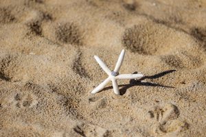 Engagement ring beach starfish