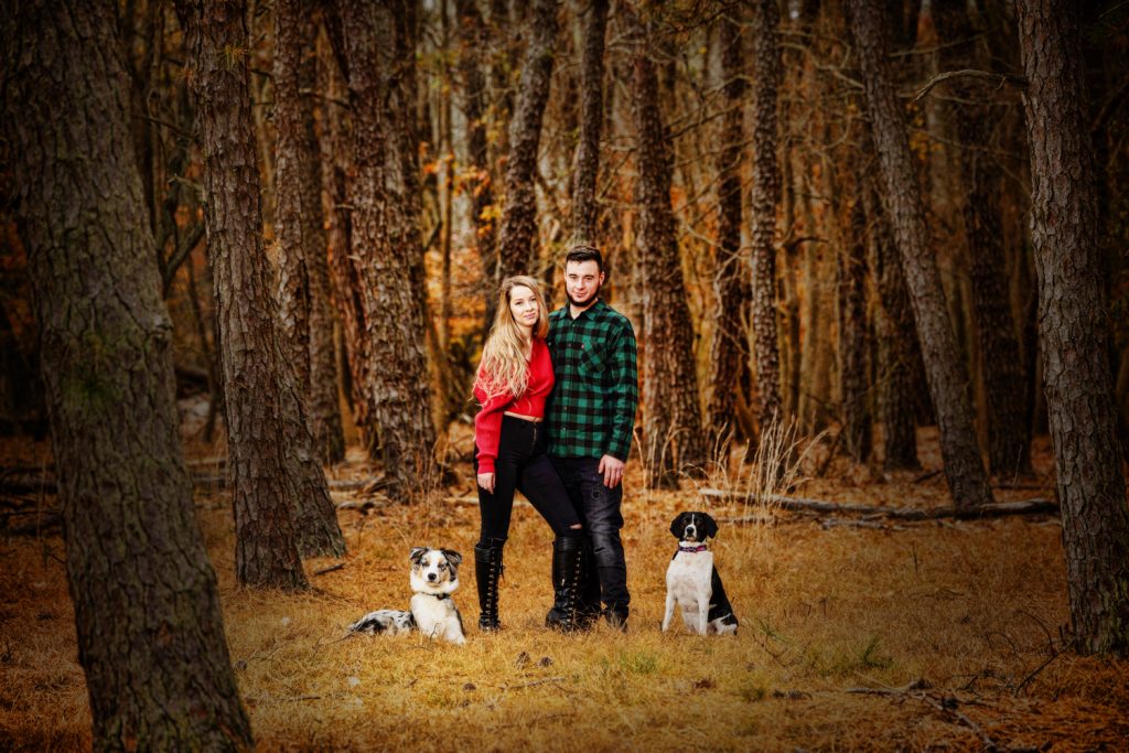 family fall woods dogs