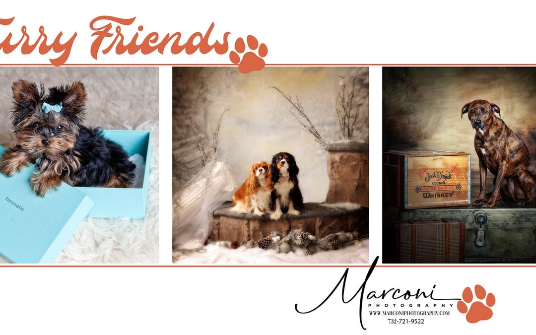 The Art and Joy of Pet Photography