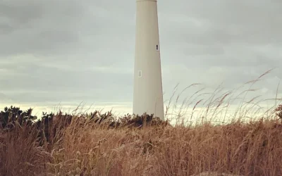 Local Chambers of Commerce