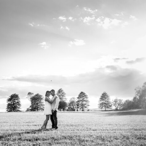 engaged couple on farm in holmdel nj